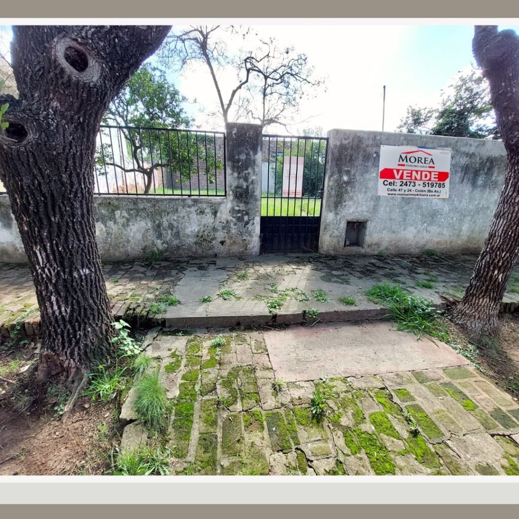 Terreno en Venta - 21 entre 49 y 50