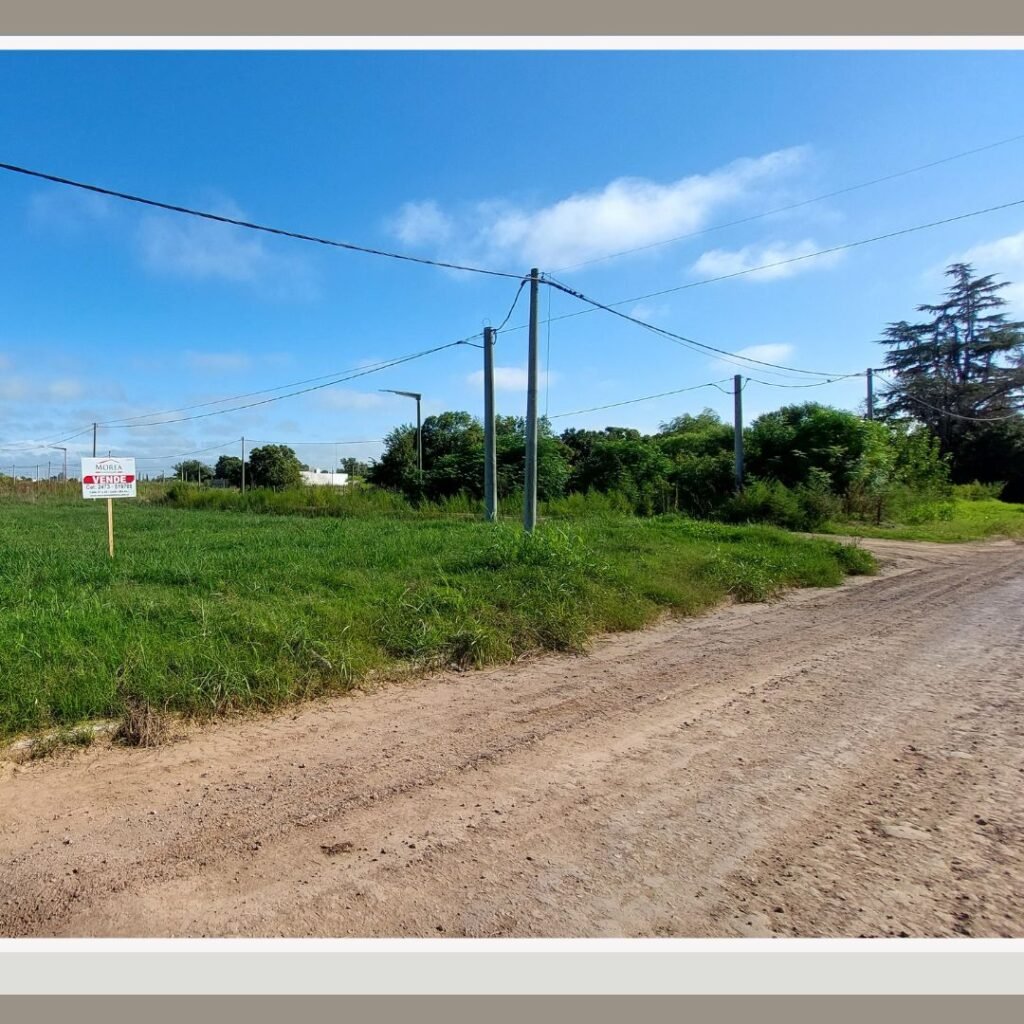 Terreno en Venta - 12 y 38