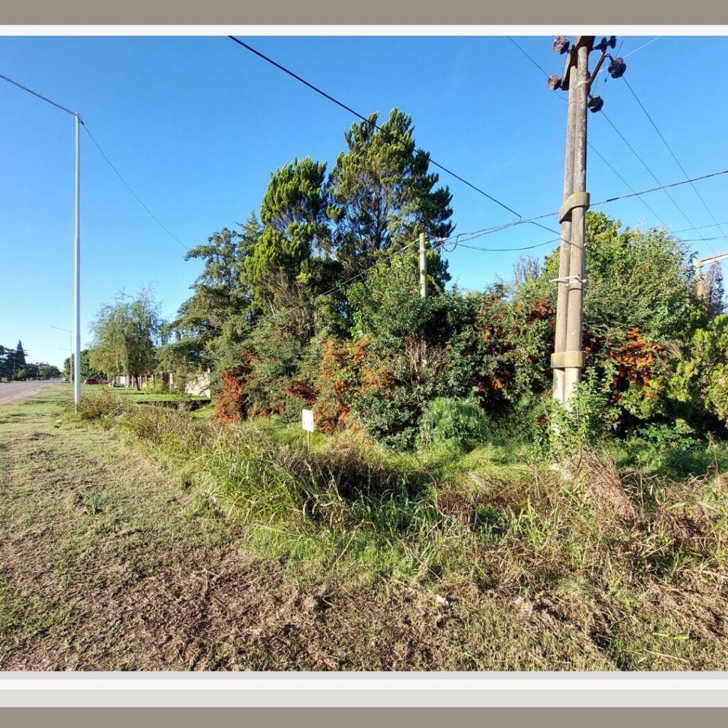 Terreno en Venta - 9 y 34 — imagen 3