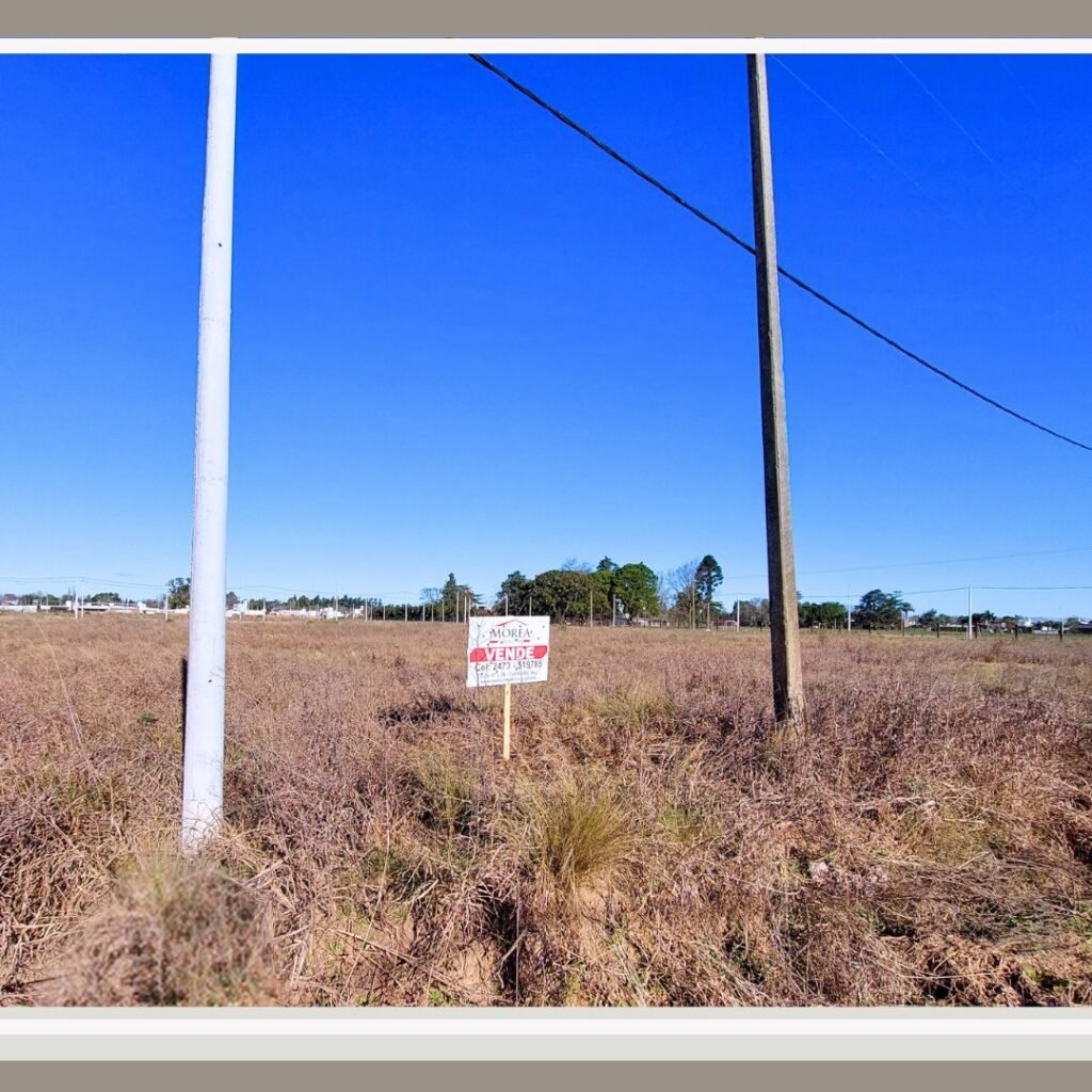 Terreno en Venta - 34 entre 11 y 12 — imagen 2