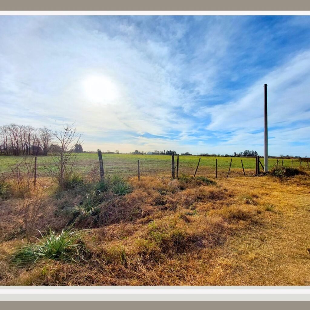 Campo de 5 Has. en Venta - 46 y 141