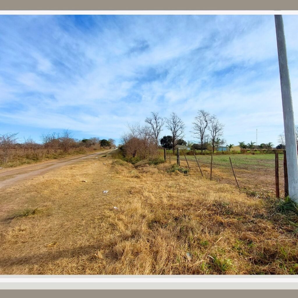 Campo de 5 Has. en Venta - 46 y 141 — imagen 2
