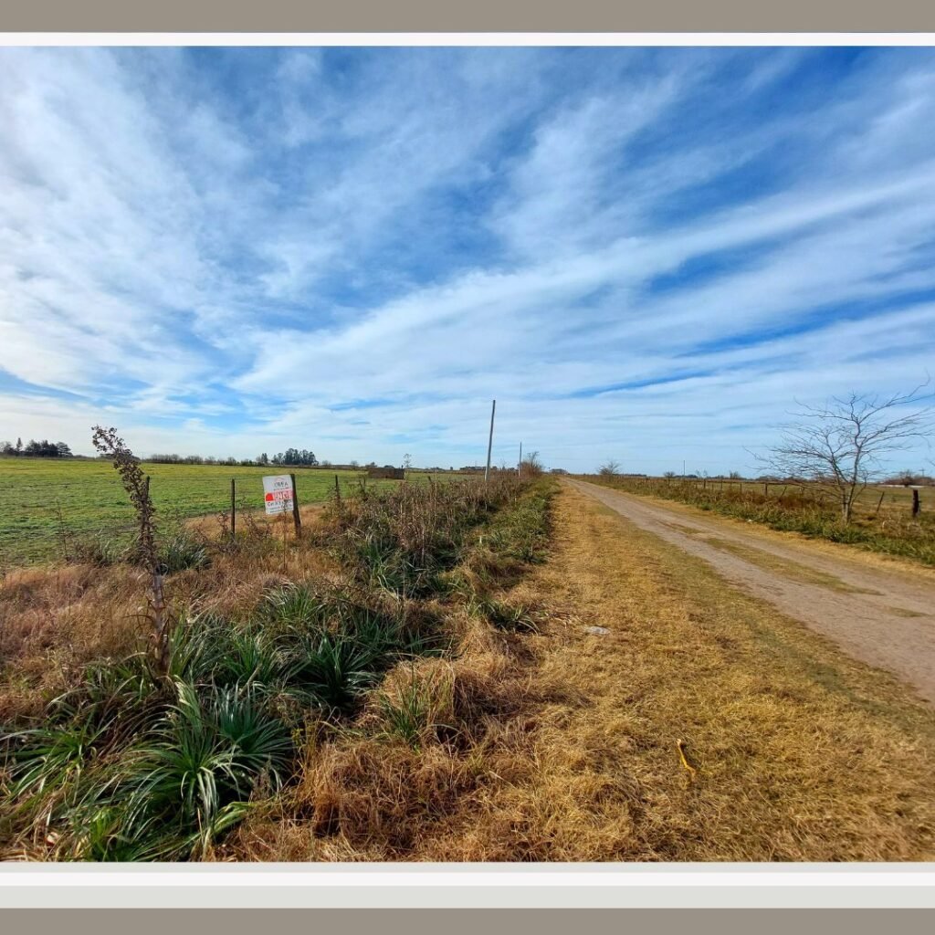 Campo de 5 Has. en Venta - 46 y 141 — imagen 3