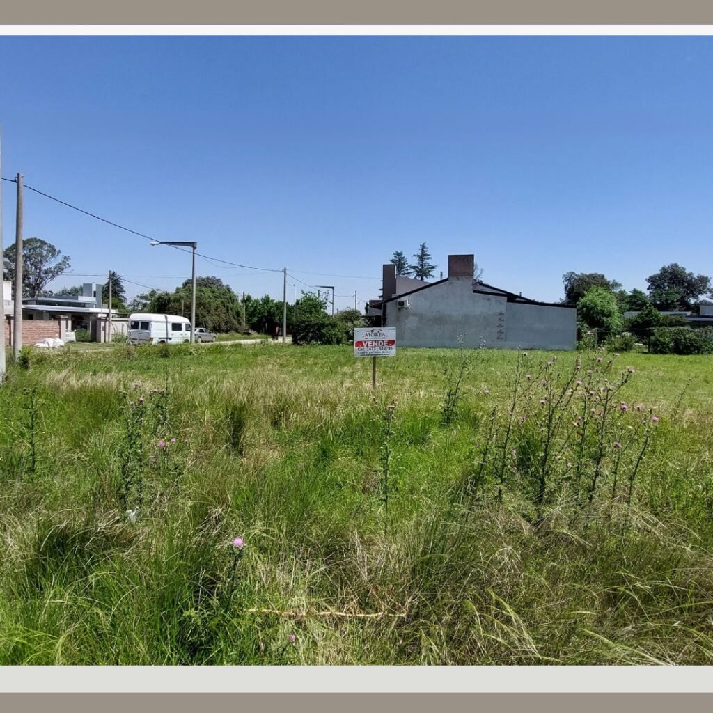 Terreno en Venta - 14 y 31 — imagen 2