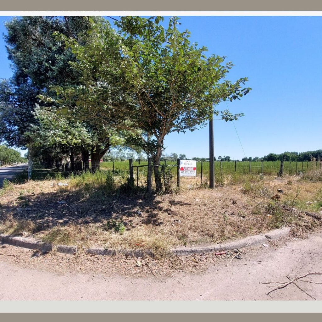 Quinta en Venta - 48 y 131