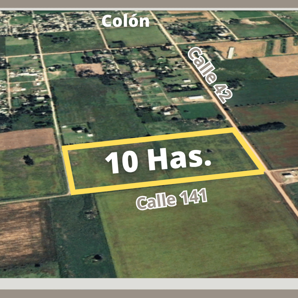 Colón 10 Hectáreas — imagen 2