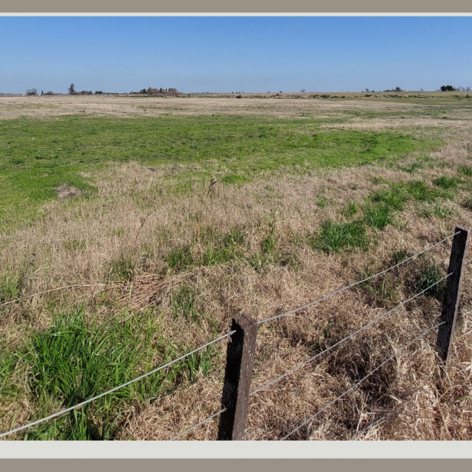 Campo de 9,68 Hectáreas