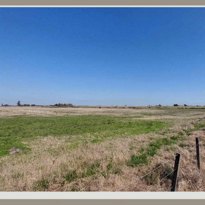 Campo de 9,68 Hectáreas