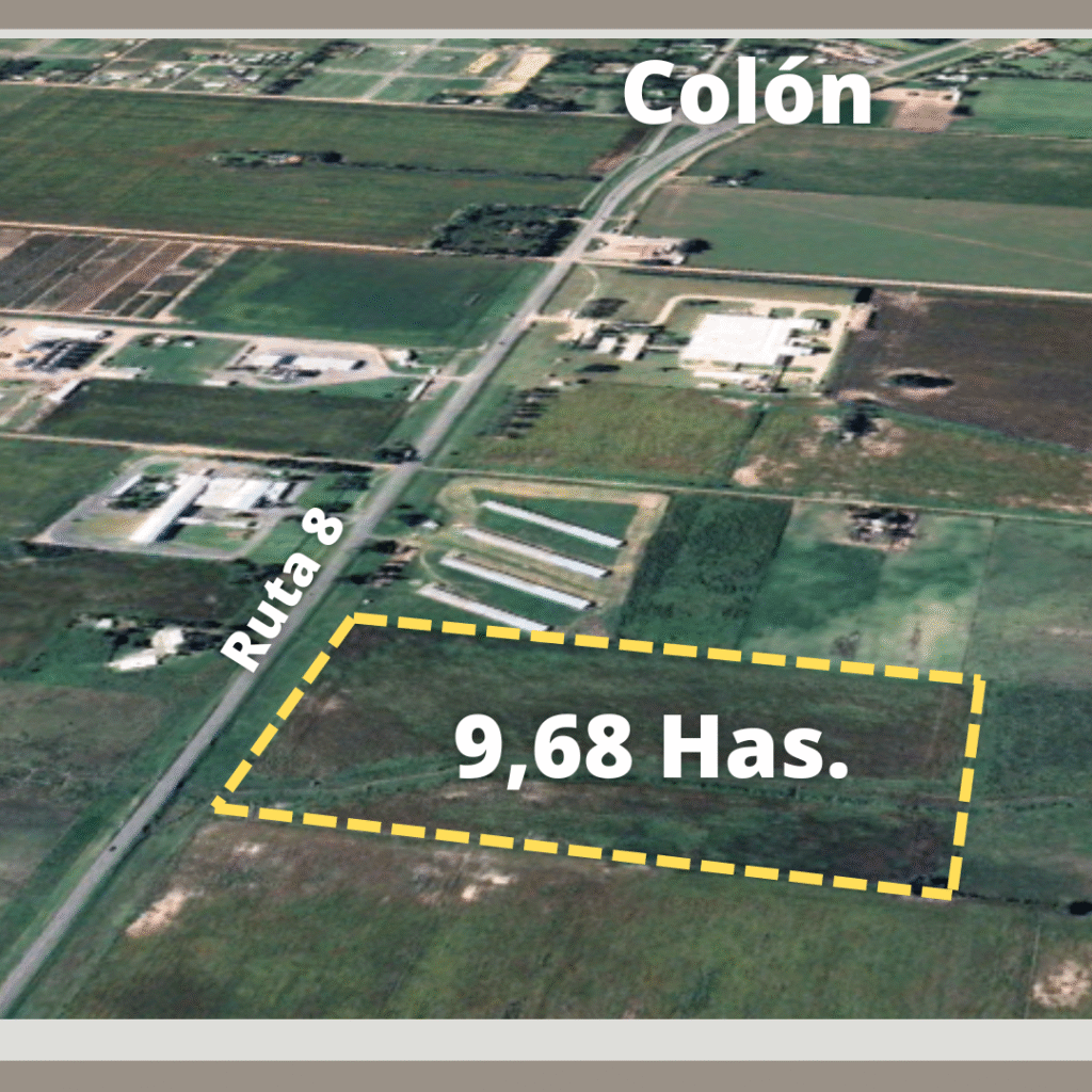 Campo de 9,68 Hectáreas — imagen 3
