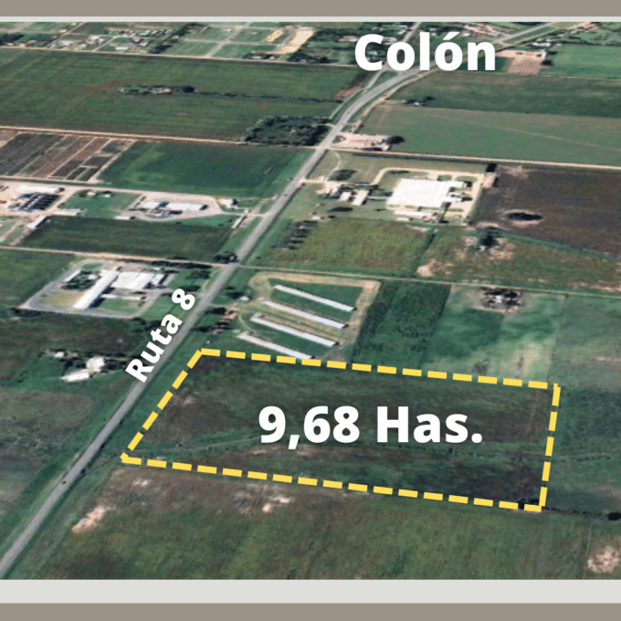 Campo de 9,68 Hectáreas