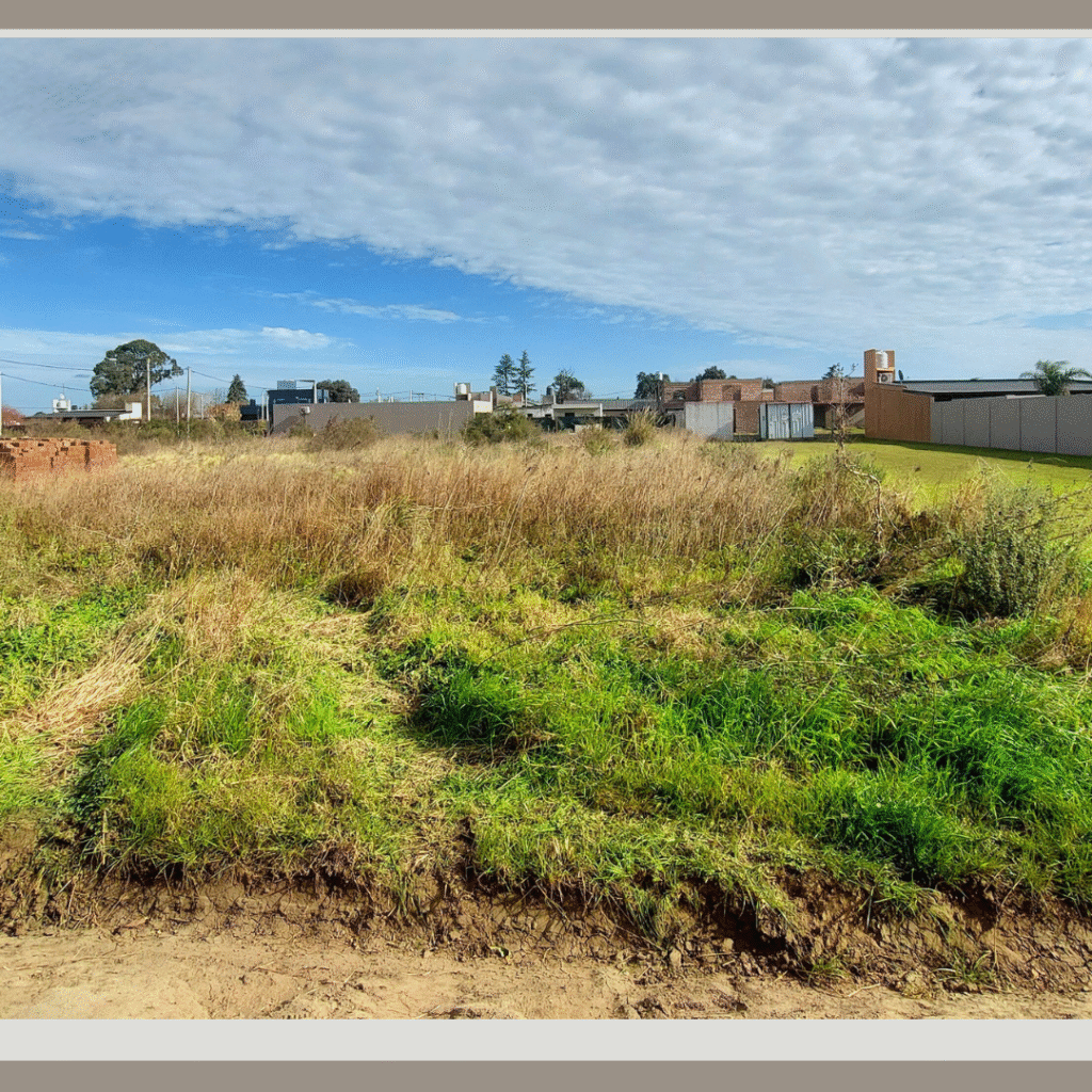 Terreno en Venta - 15 entre 30 y 31 — imagen 3