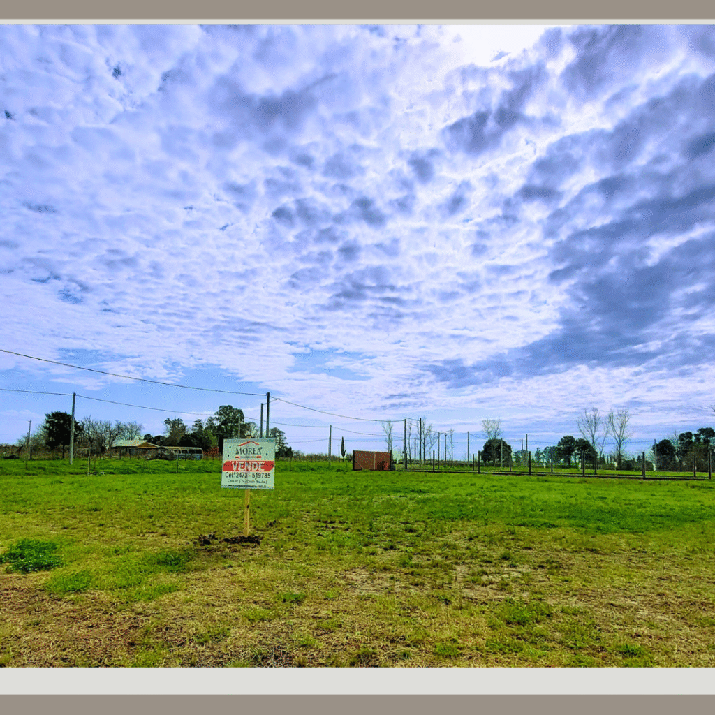 Terreno en Venta - 16 entre 31 y 32