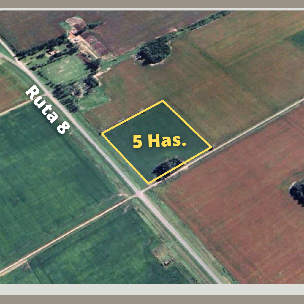 Campo de 5 Has. Agrícolas sobre Ruta 8 — imagen 3