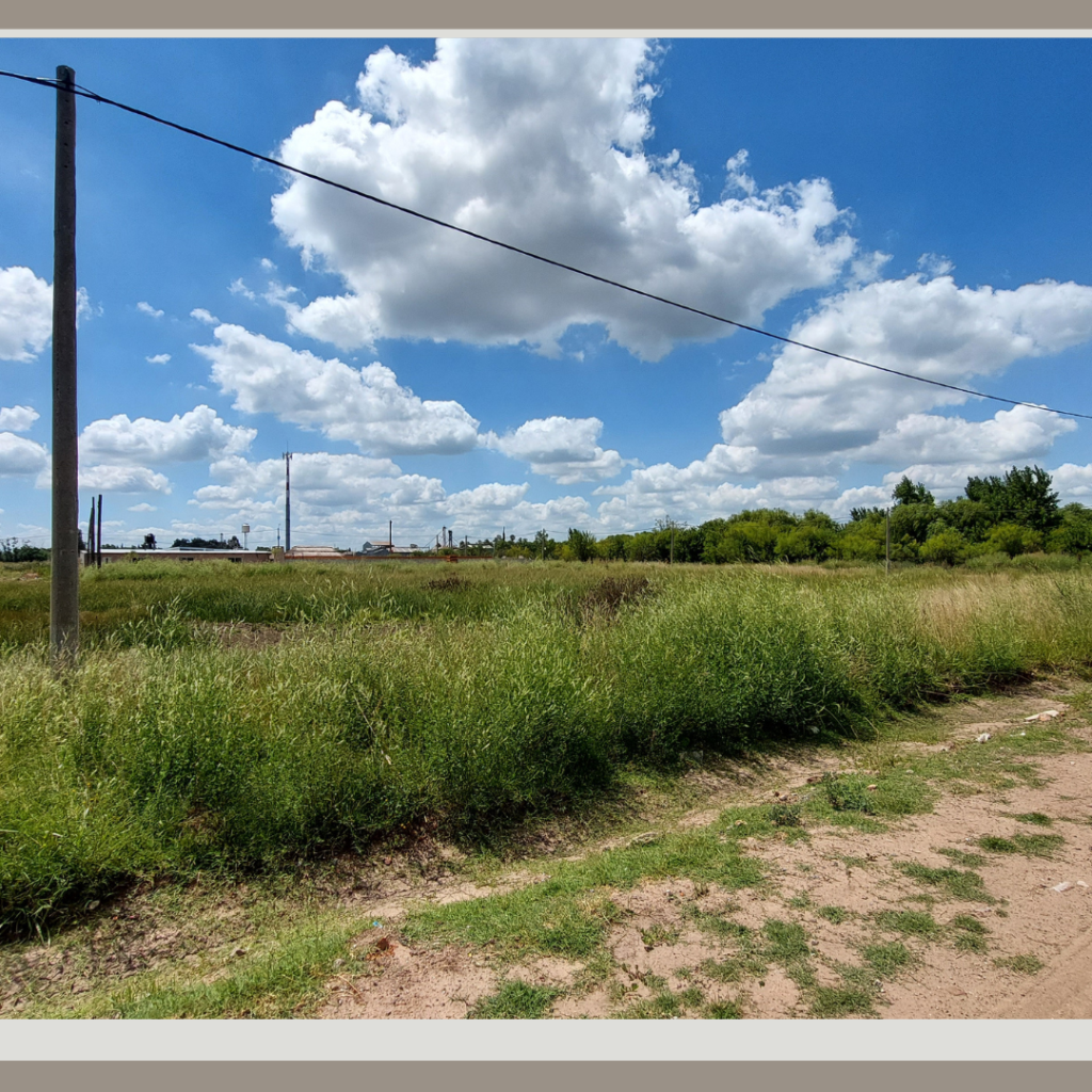 Terreno en Venta - 49 entre 1 y 3 — imagen 2
