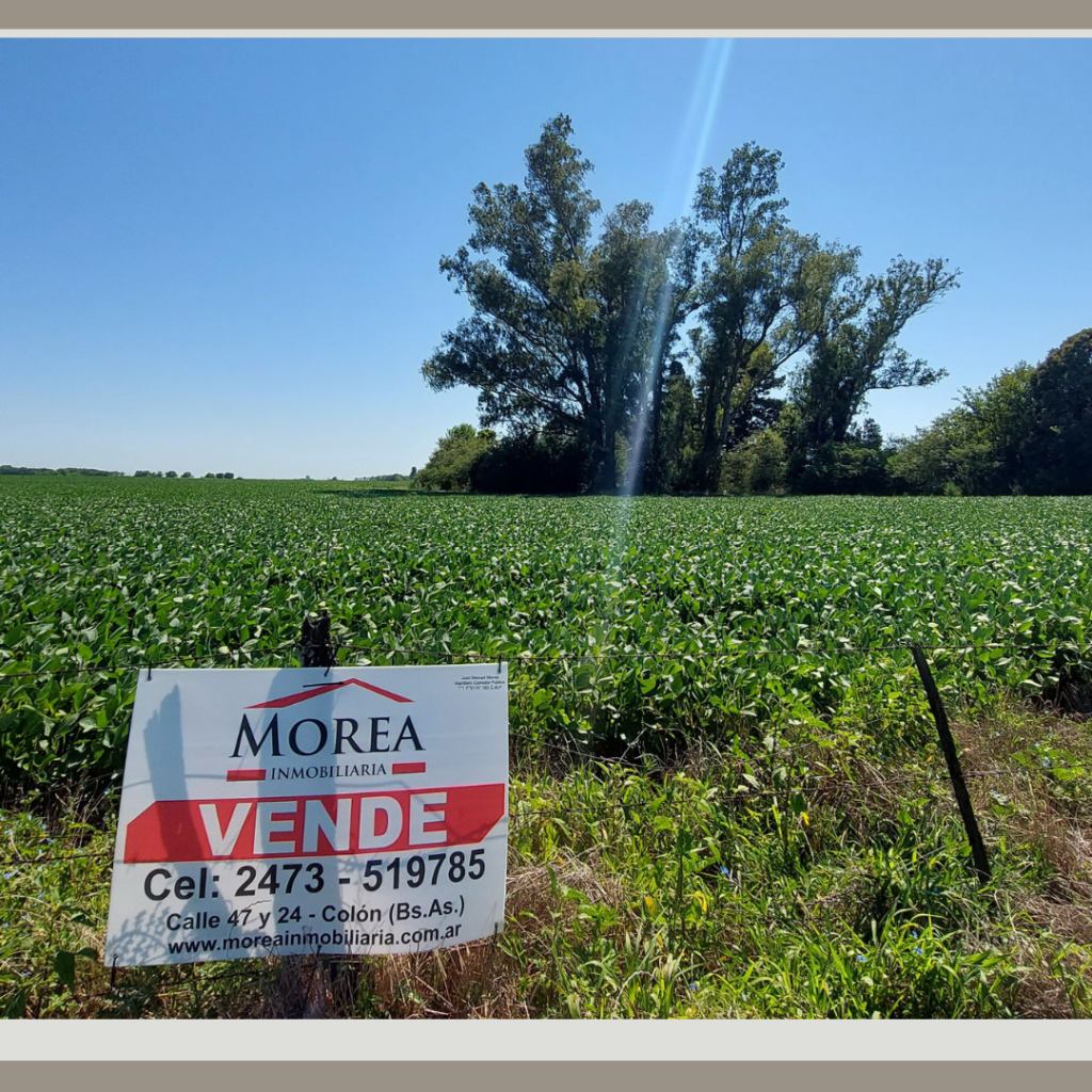 Campo de 5 Has. Agrícolas sobre Ruta 8