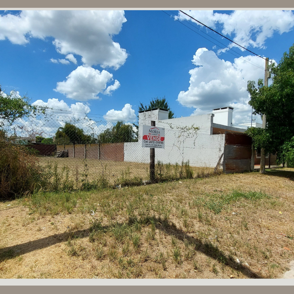 Terreno en Venta - 16 bis entre 38 y 39 — imagen 2