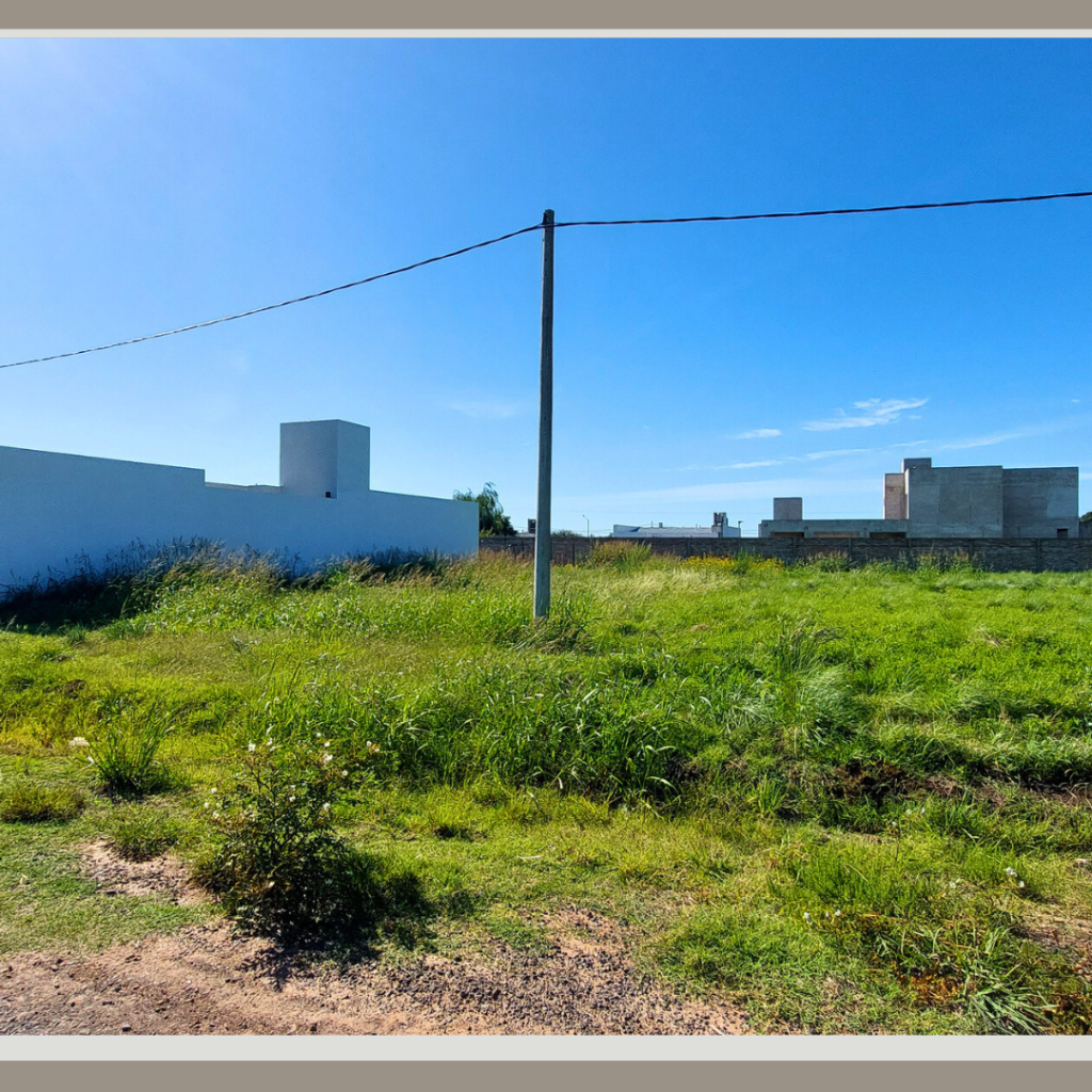 Terreno en Venta - 33 entre 11 y 12 — imagen 2