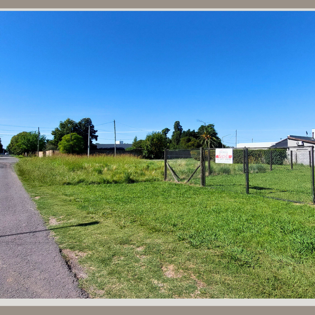 Terreno en Venta - 8 entre 39 y 40 — imagen 2