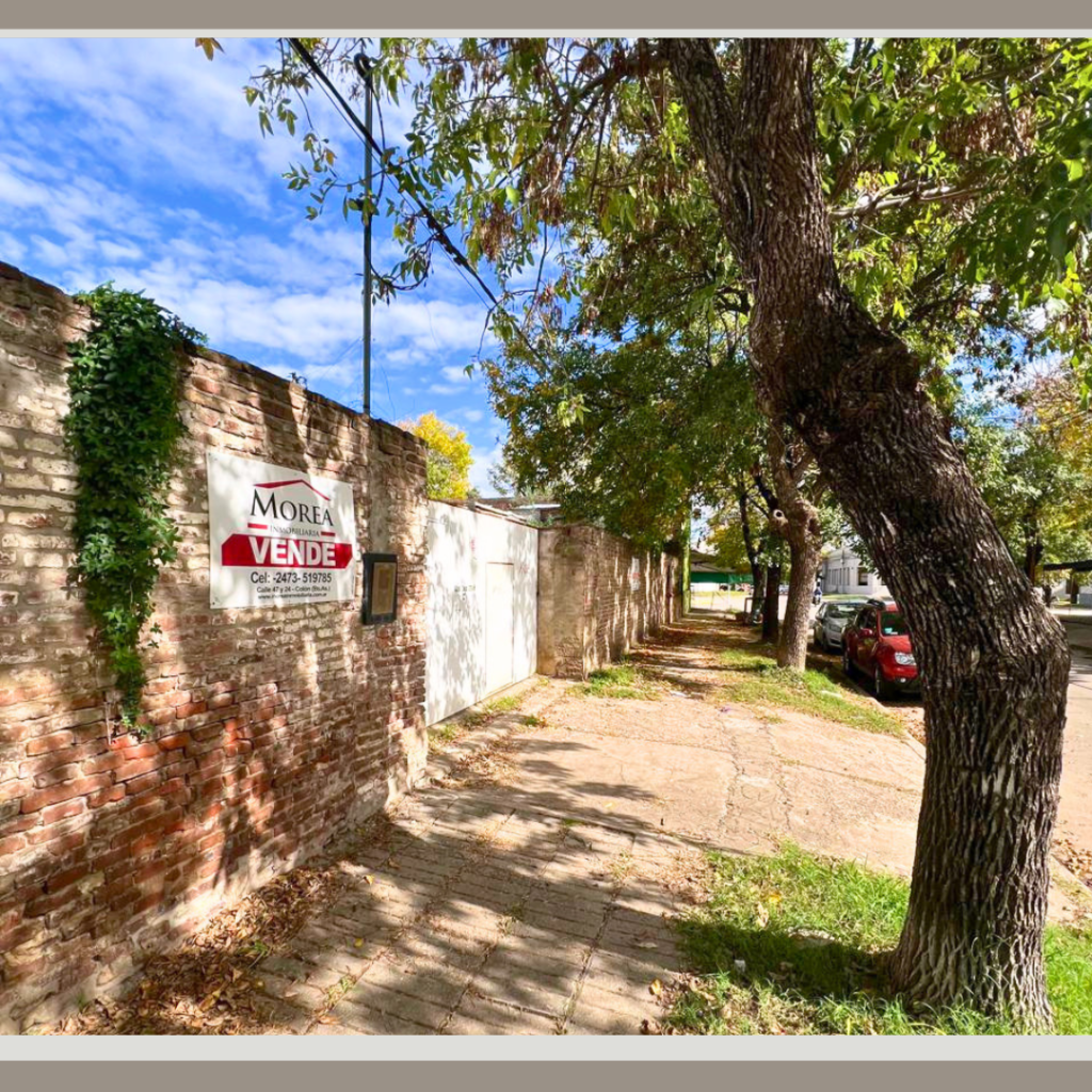 Galpón en Venta - 46 entre 17 y 18