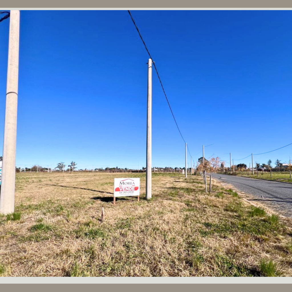 Terreno en Venta - 16 y 32