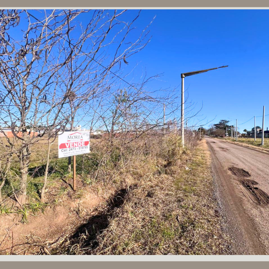 Terreno en Venta - 36 y 12
