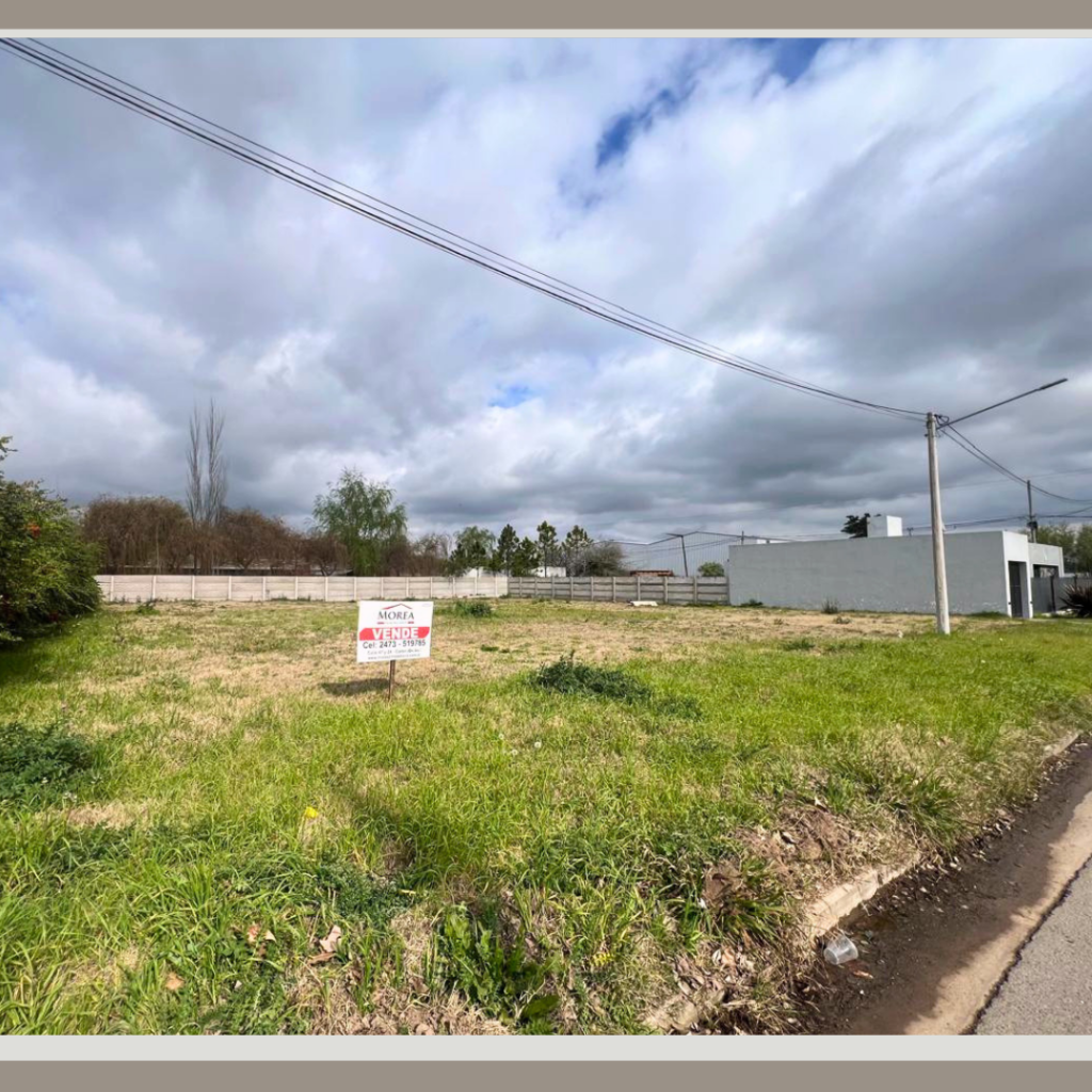 Terreno en Venta - 45 entre 7 y 8 — imagen 2