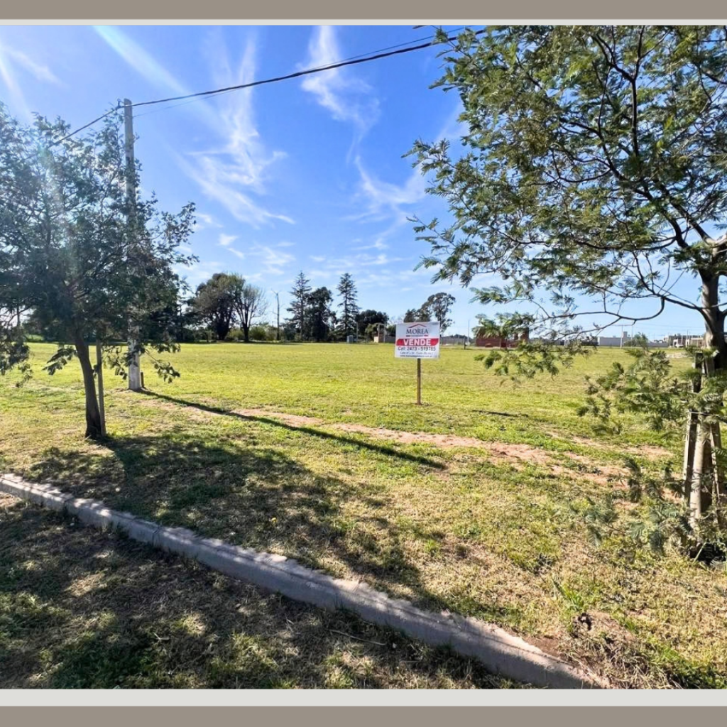 Terreno en Venta - 30 entre 12 y 13 — imagen 3